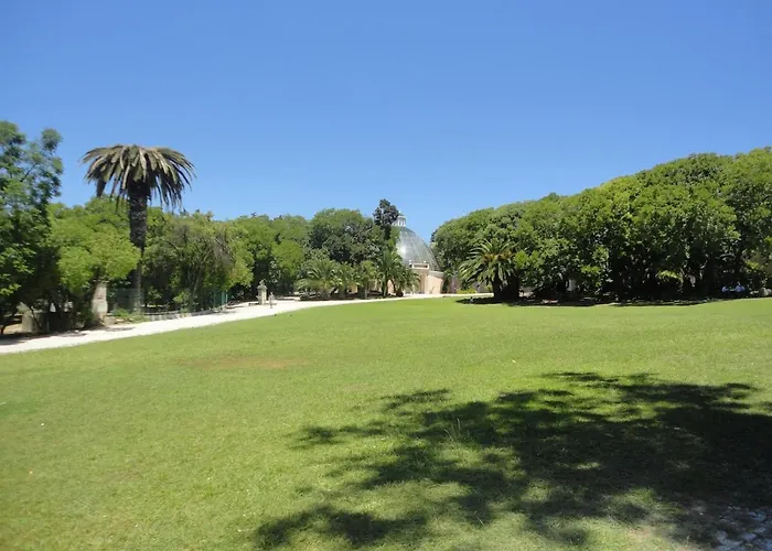 Feels - Gardens And River